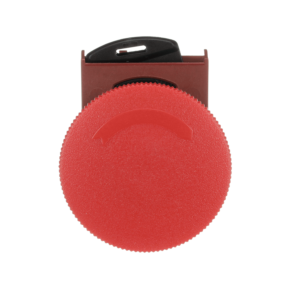 9PAA00000198521_master