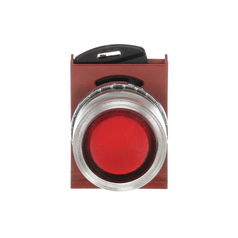 9PAA00000198526_master