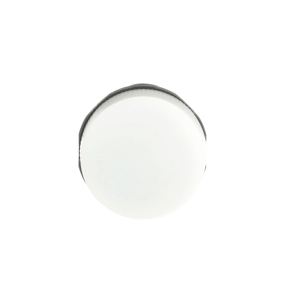 9PAA00000242206_master