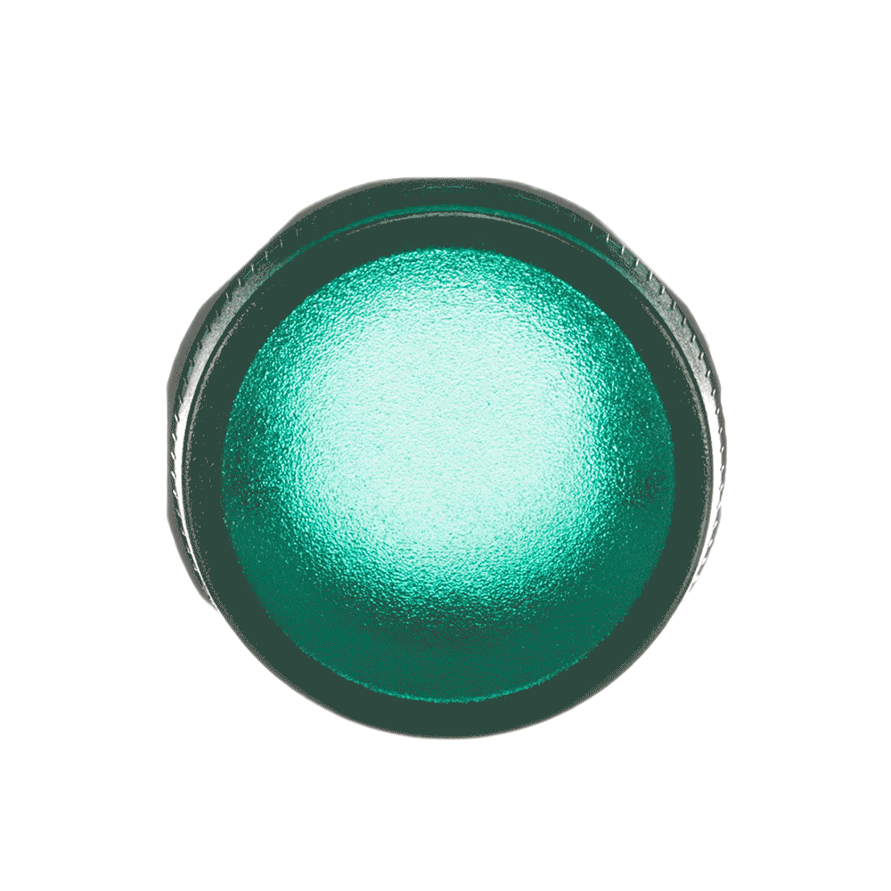 ML1-100G 